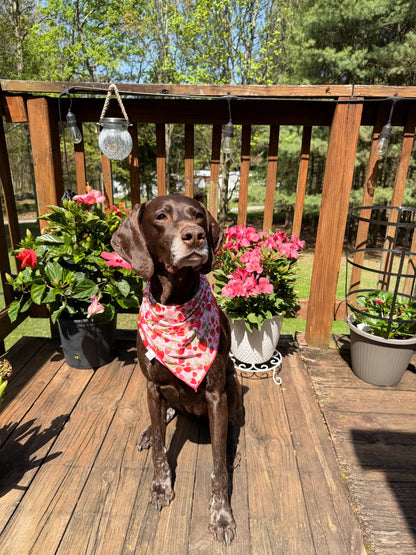 Strawberry Fields L/XL Dog Bandana