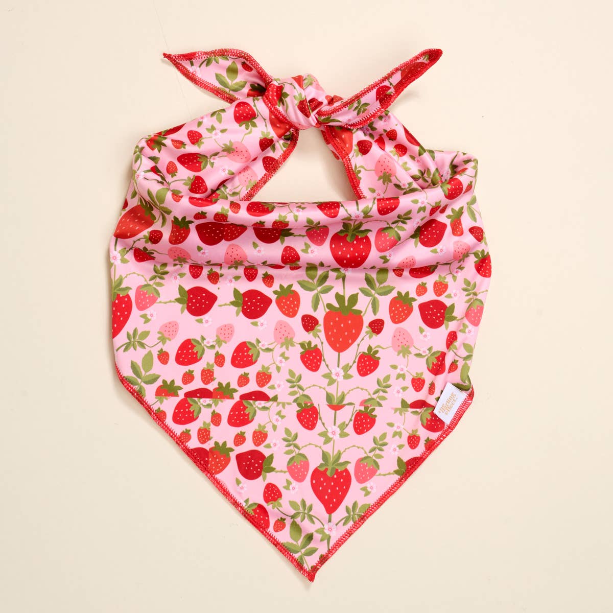 Strawberry Fields L/XL Dog Bandana