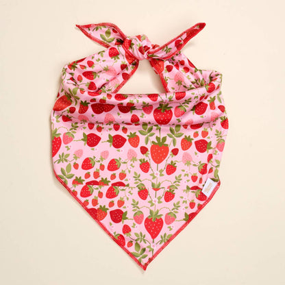 Strawberry Fields L/XL Dog Bandana