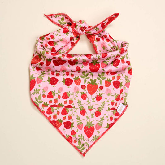 Strawberry Fields L/XL Dog Bandana